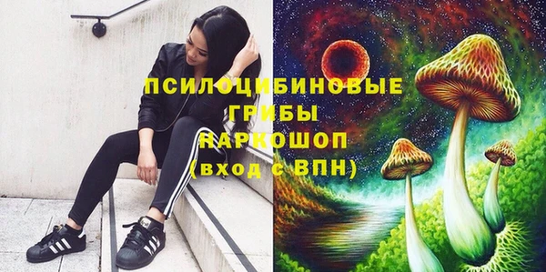 mix Алексин
