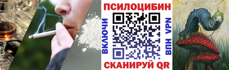Псилоцибиновые грибы Psilocybe Котельники